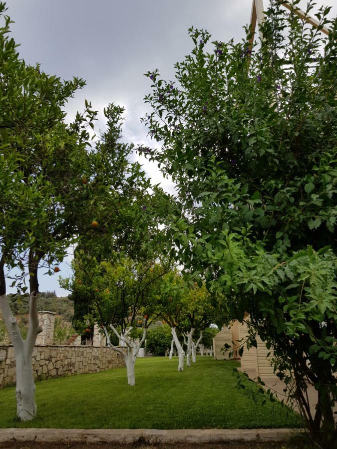 Το Είδωλον Διαμέρισμα Epidaurus Εξωτερικό φωτογραφία